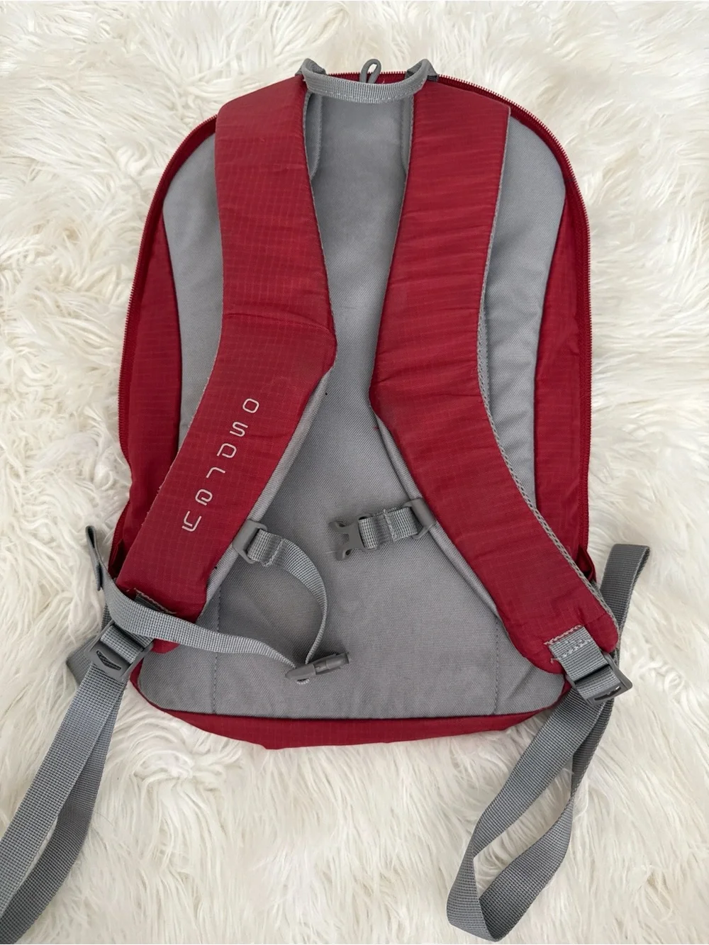 OSPREY Red and Gray Men’s Backpack